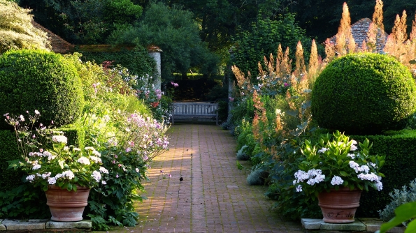 Plumeaux de lumière